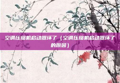 空调压缩机启动器坏了(空调压缩机启动器坏了的原因)