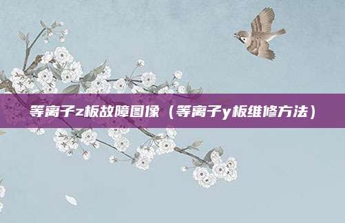 等离子z板故障图像(等离子y板维修方法)