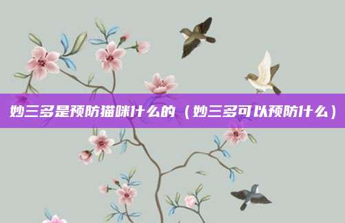 妙三多是预防猫咪什么的（妙三多可以预防什么）