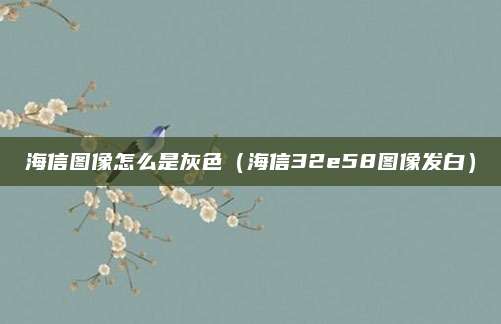 海信图像怎么是灰色（海信32e58图像发白）