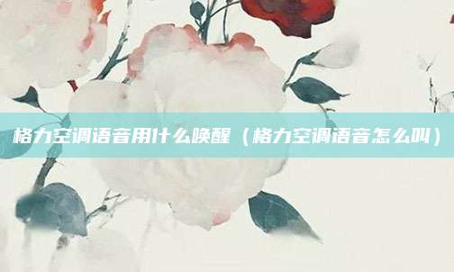 格力空调语音用什么唤醒（格力空调语音怎么叫）