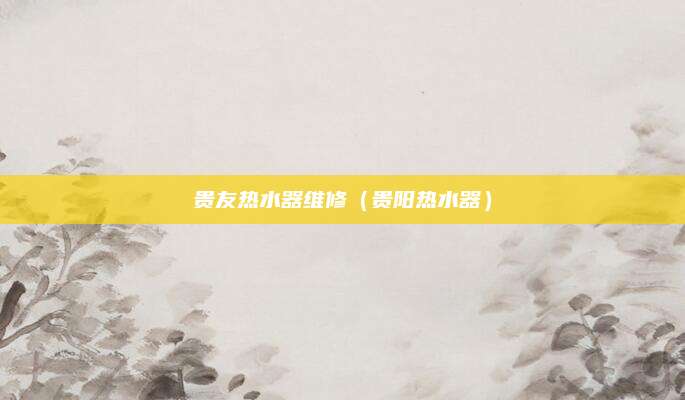 贵友热水器维修（贵阳热水器）