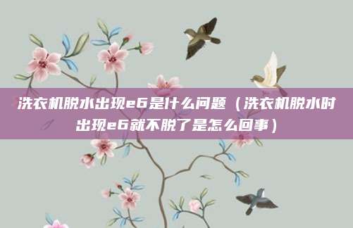 洗衣机脱水出现e6是什么问题（洗衣机脱水时出现e6就不脱了是怎么回事）