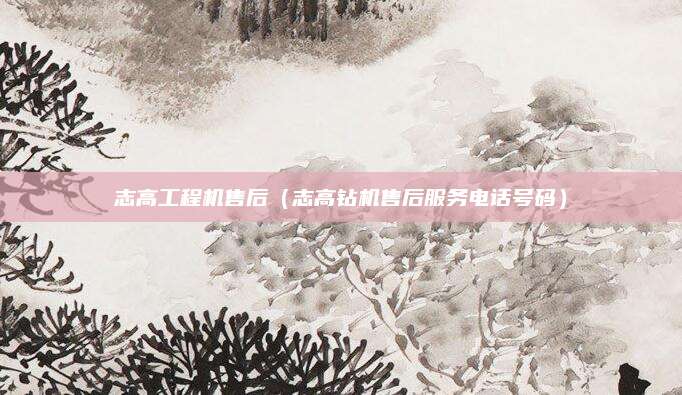 志高工程机售后(志高钻机售后服务电话号码)