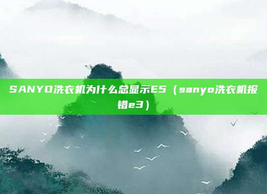 SANYO洗衣机为什么总显示E5(sanyo洗衣机报错e3)