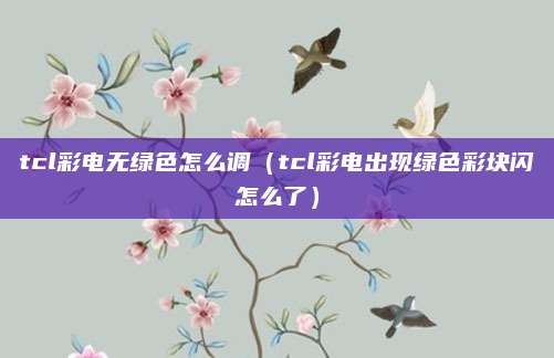 tcl彩电无绿色怎么调（tcl彩电出现绿色彩块闪怎么了）