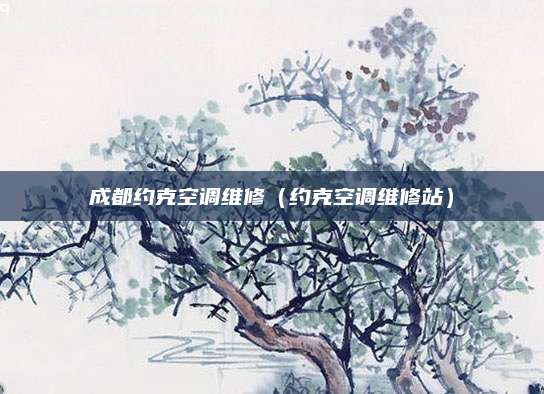 成都约克空调维修（约克空调维修站）