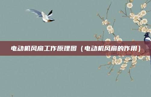 电动机风扇工作原理图（电动机风扇的作用）