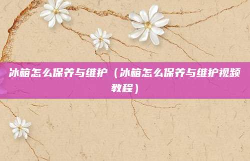 冰箱怎么保养与维护（冰箱怎么保养与维护视频教程）