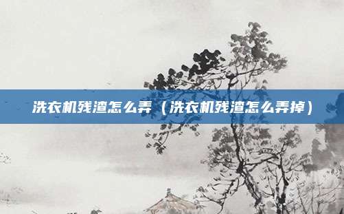 洗衣机残渣怎么弄（洗衣机残渣怎么弄掉）