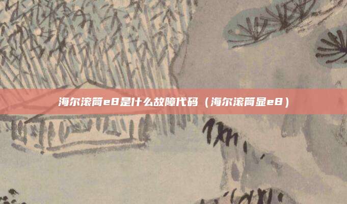 海尔滚筒e8是什么故障代码(海尔滚筒显e8)