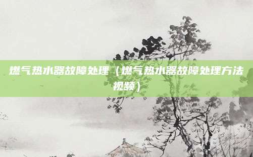燃气热水器故障处理（燃气热水器故障处理方法视频）