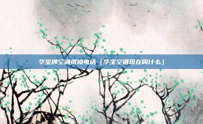 华宝牌空调维修电话（华宝空调现在叫什么）