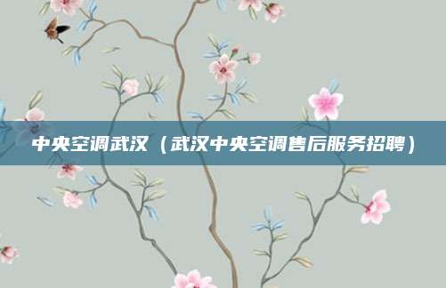 中央空调武汉（武汉中央空调售后服务招聘）