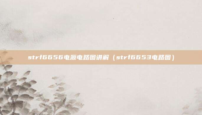 strf6656电源电路图讲解（strf6653电路图）