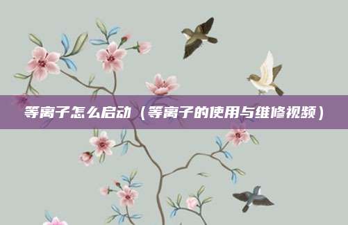等离子怎么启动(等离子的使用与维修视频)