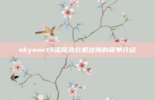skyworth滚筒洗衣机故障的简单介绍