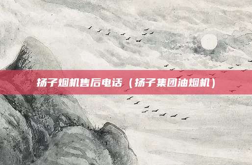 扬子烟机售后电话(扬子集团油烟机)