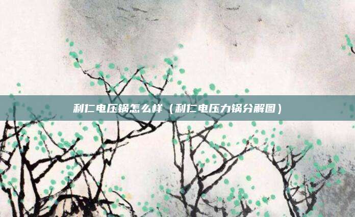 利仁电压锅怎么样（利仁电压力锅分解图）