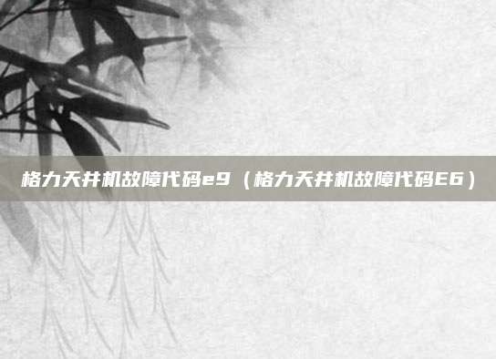 格力天井机故障代码e9（格力天井机故障代码E6）