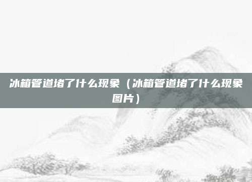 冰箱管道堵了什么现象（冰箱管道堵了什么现象图片）