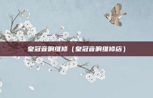 皇冠音响维修（皇冠音响维修店）