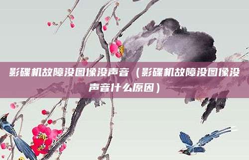 影碟机故障没图像没声音(影碟机故障没图像没声音什么原因)