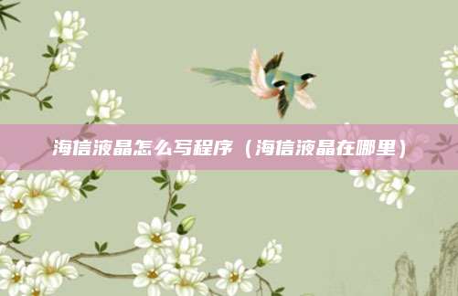 海信液晶怎么写程序(海信液晶在哪里)