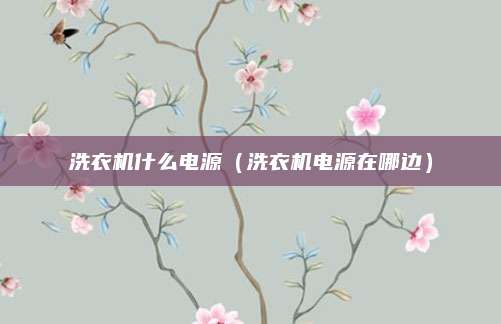 洗衣机什么电源(洗衣机电源在哪边)