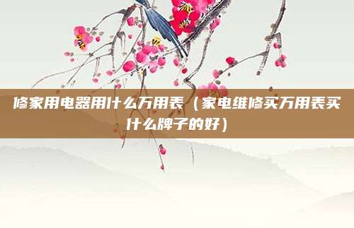 修家用电器用什么万用表（家电维修买万用表买什么牌子的好）