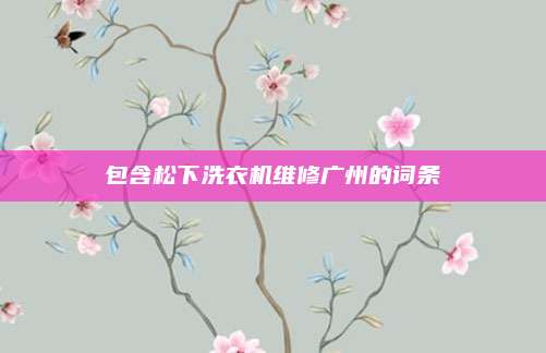 包含松下洗衣机维修广州的词条
