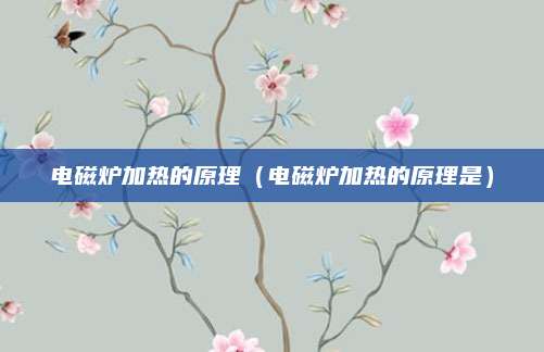电磁炉加热的原理（电磁炉加热的原理是）
