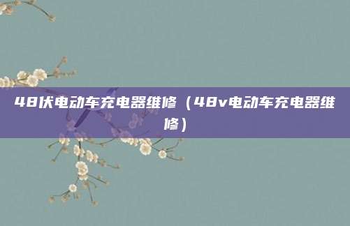 48伏电动车充电器维修(48v电动车充电器维修)