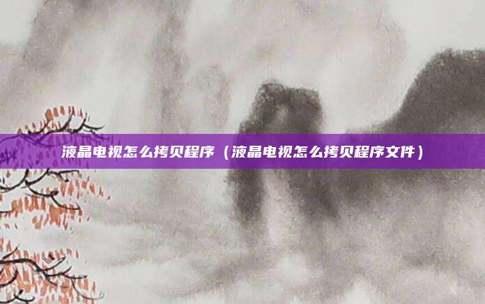 液晶电视怎么拷贝程序(液晶电视怎么拷贝程序文件)