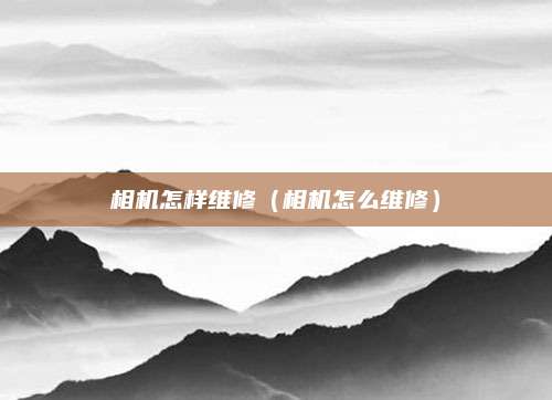 相机怎样维修(相机怎么维修)