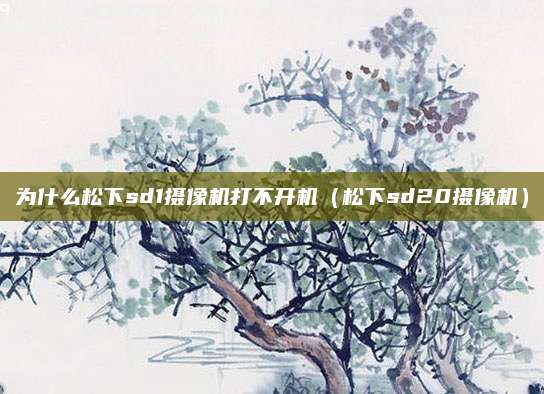 为什么松下sd1摄像机打不开机（松下sd20摄像机）