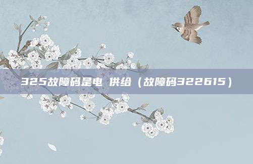 325故障码是电圧供给（故障码322615）