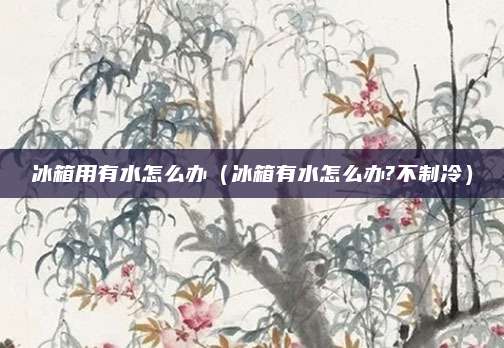 冰箱用有水怎么办（冰箱有水怎么办?不制冷）