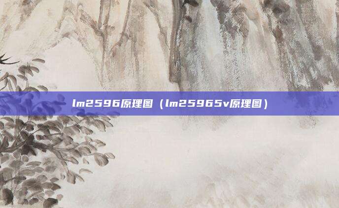 lm2596原理图(lm25965v原理图)