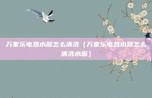 万家乐电热水器怎么清洗(万家乐电热水器怎么清洗水垢)