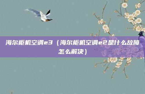 海尔柜机空调e3(海尔柜机空调e2是什么故障怎么解决)