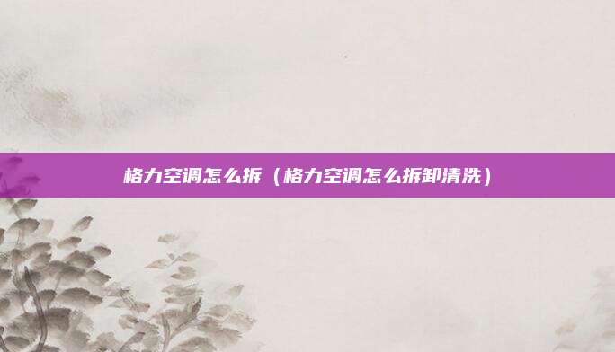 格力空调怎么拆(格力空调怎么拆卸清洗)