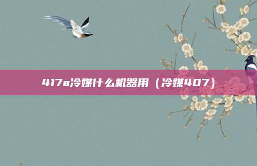417a冷媒什么机器用（冷媒407）
