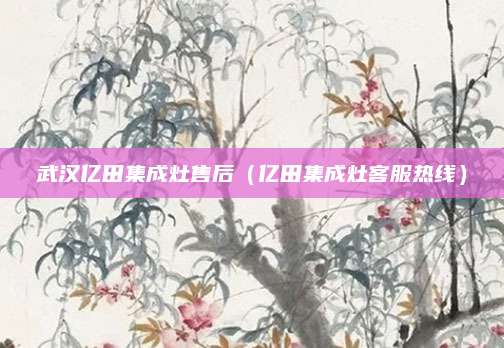 武汉亿田集成灶售后(亿田集成灶客服热线)