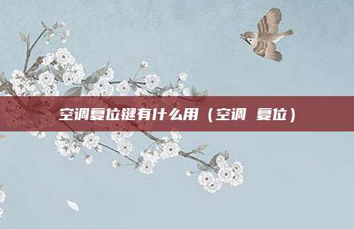 空调复位键有什么用（空调 复位）