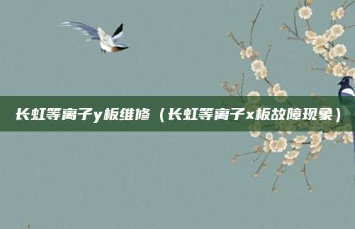 长虹等离子y板维修(长虹等离子x板故障现象)