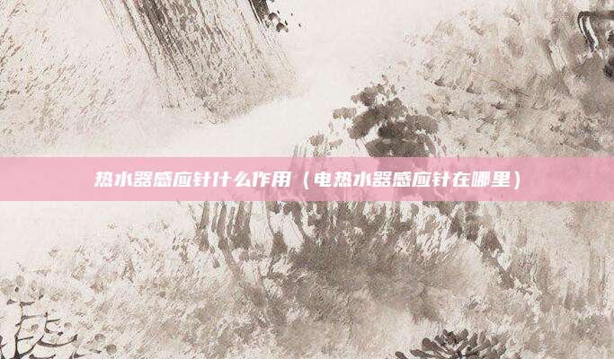 热水器感应针什么作用（电热水器感应针在哪里）