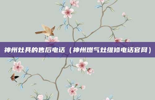 神州灶具的售后电话（神州燃气灶维修电话官网）