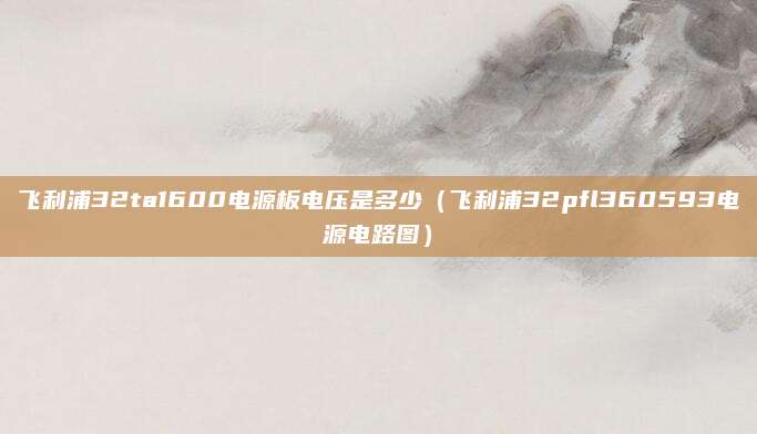 飞利浦32ta1600电源板电压是多少（飞利浦32pfl360593电源电路图）