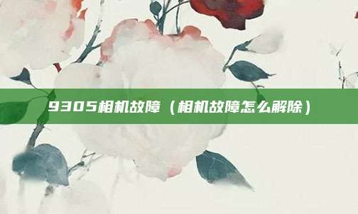 9305相机故障（相机故障怎么解除）